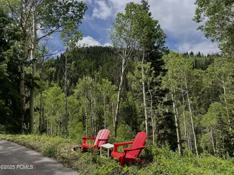 Oakley, UT Wooded Land Parcel