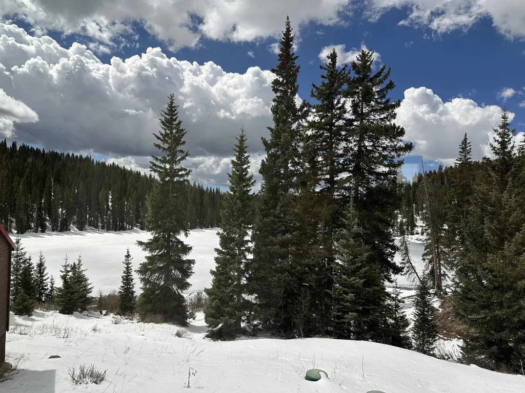 Picture 3