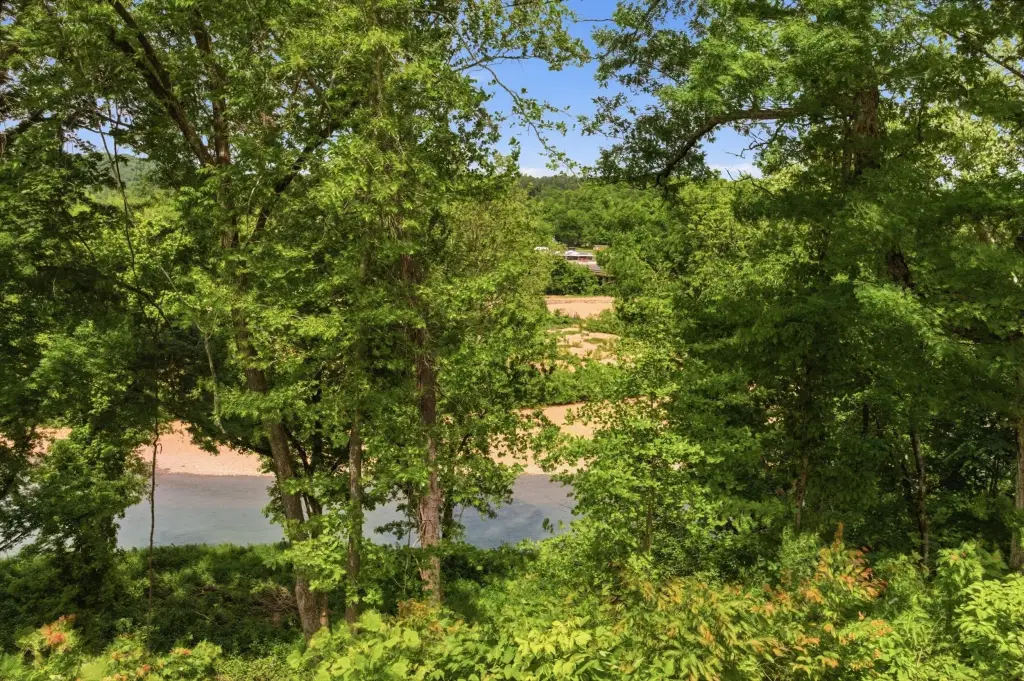 Picture 14