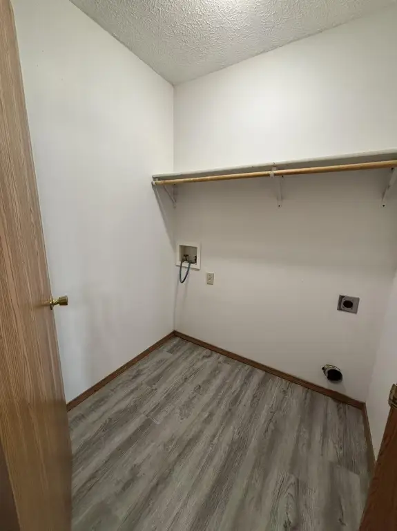 Picture 24