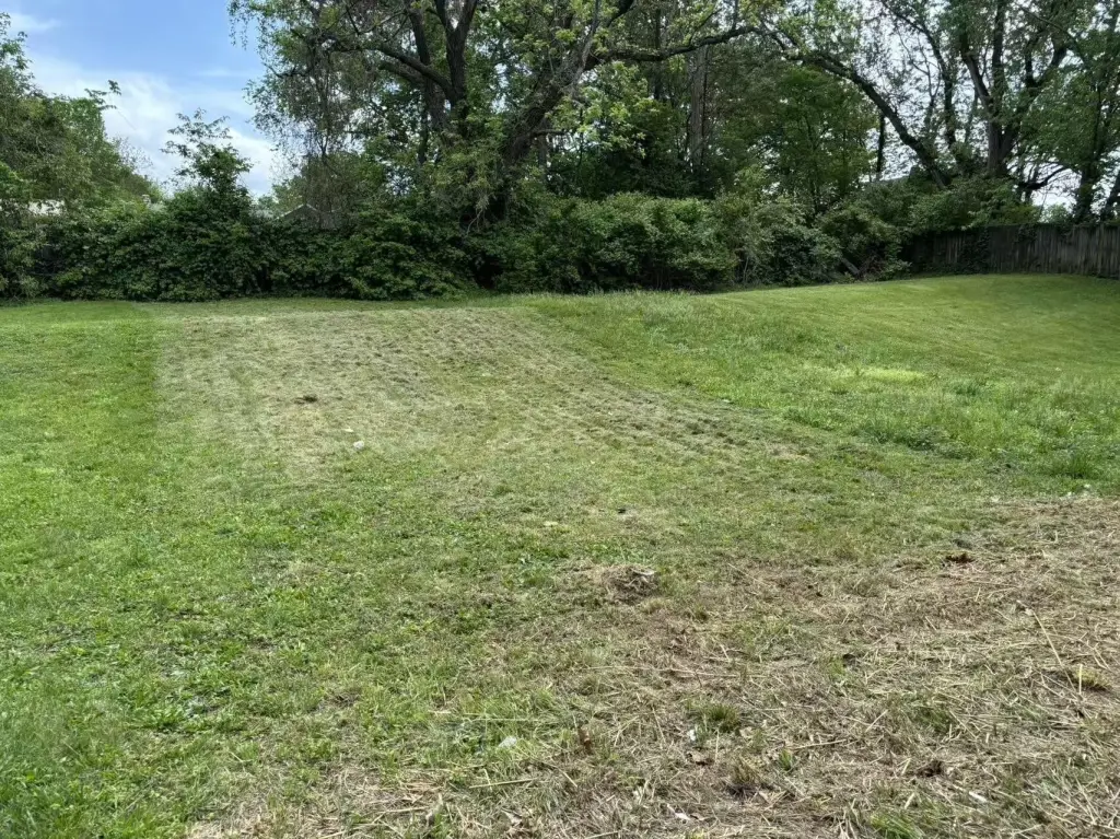Picture 25