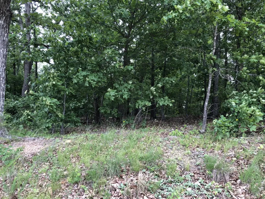 Picture 16