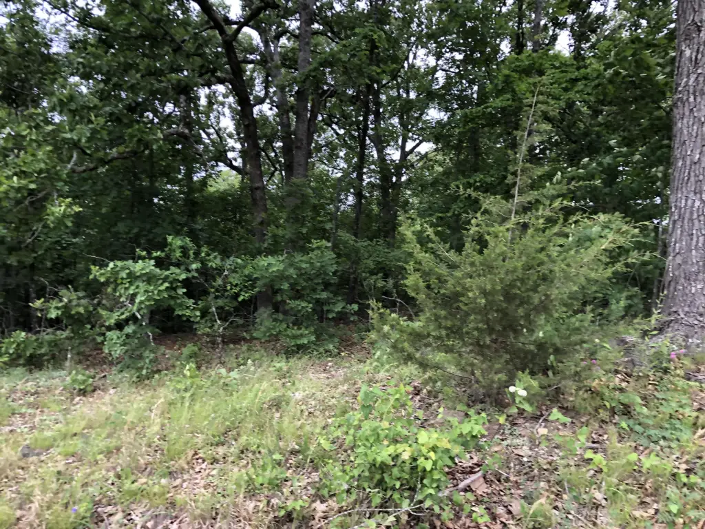 Picture 15