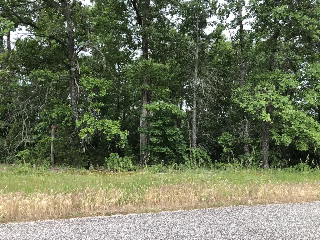 Picture 20