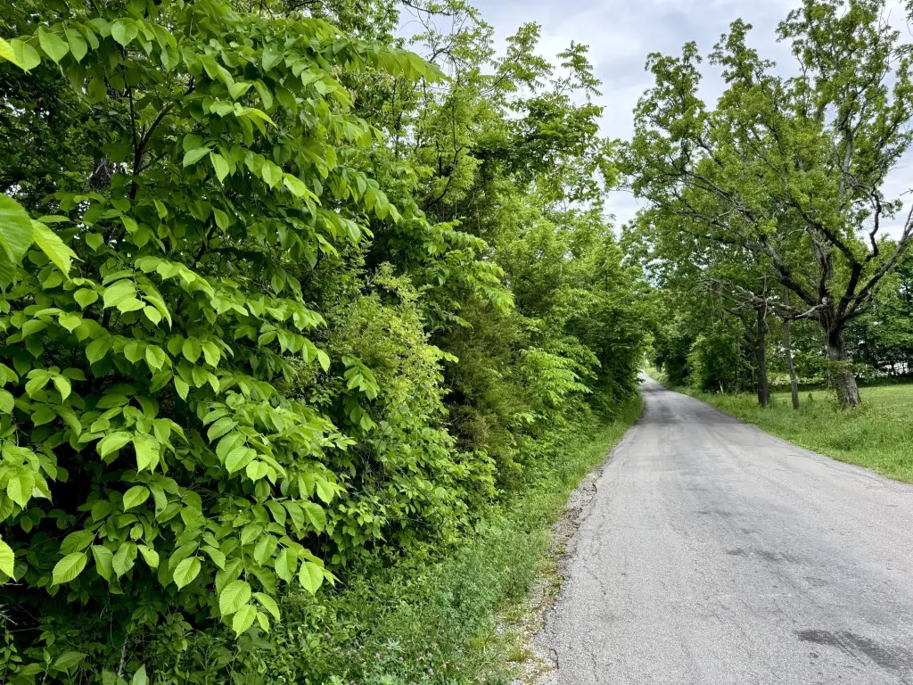 Picture 19