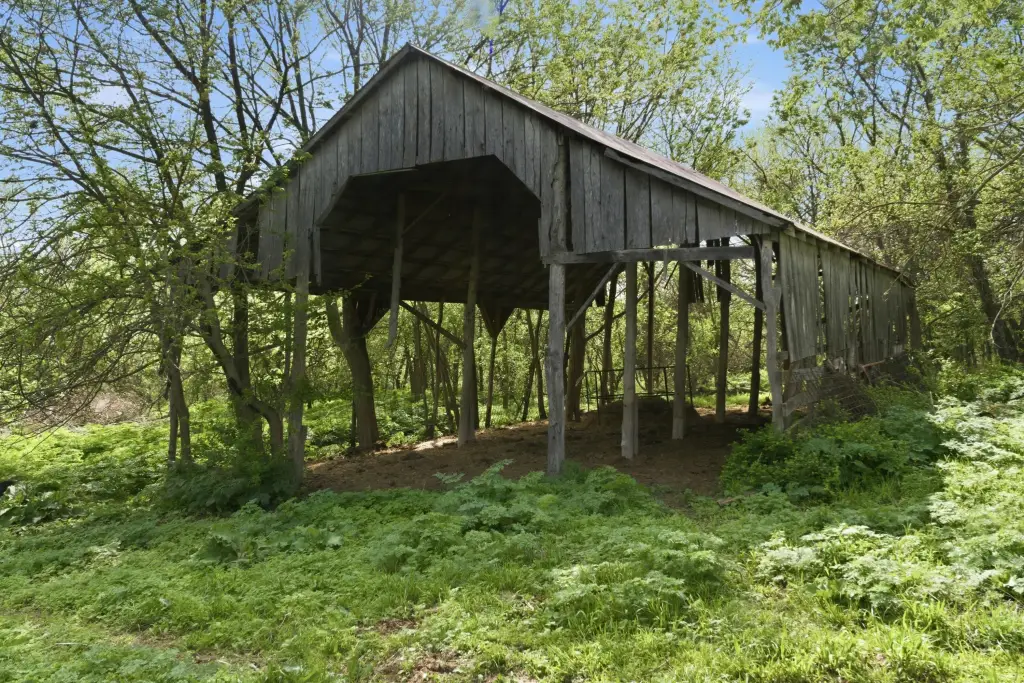 Picture 13