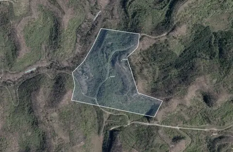 Wooded Mountain Hunting Land