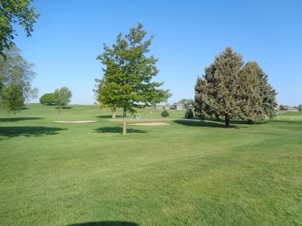 Picture 5