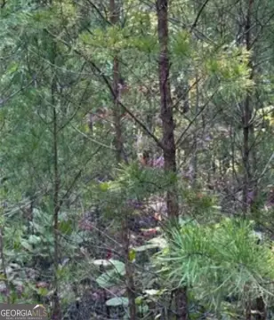 Braswell, GA Land For Sale