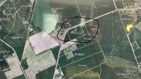 Springfield, GA Wooded Land