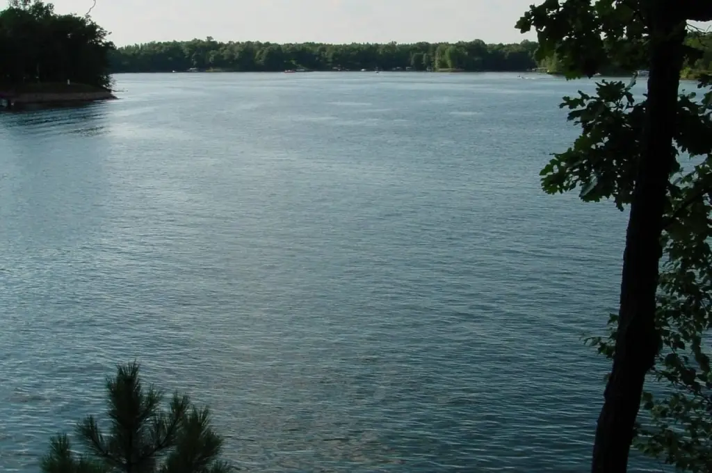 Picture 14