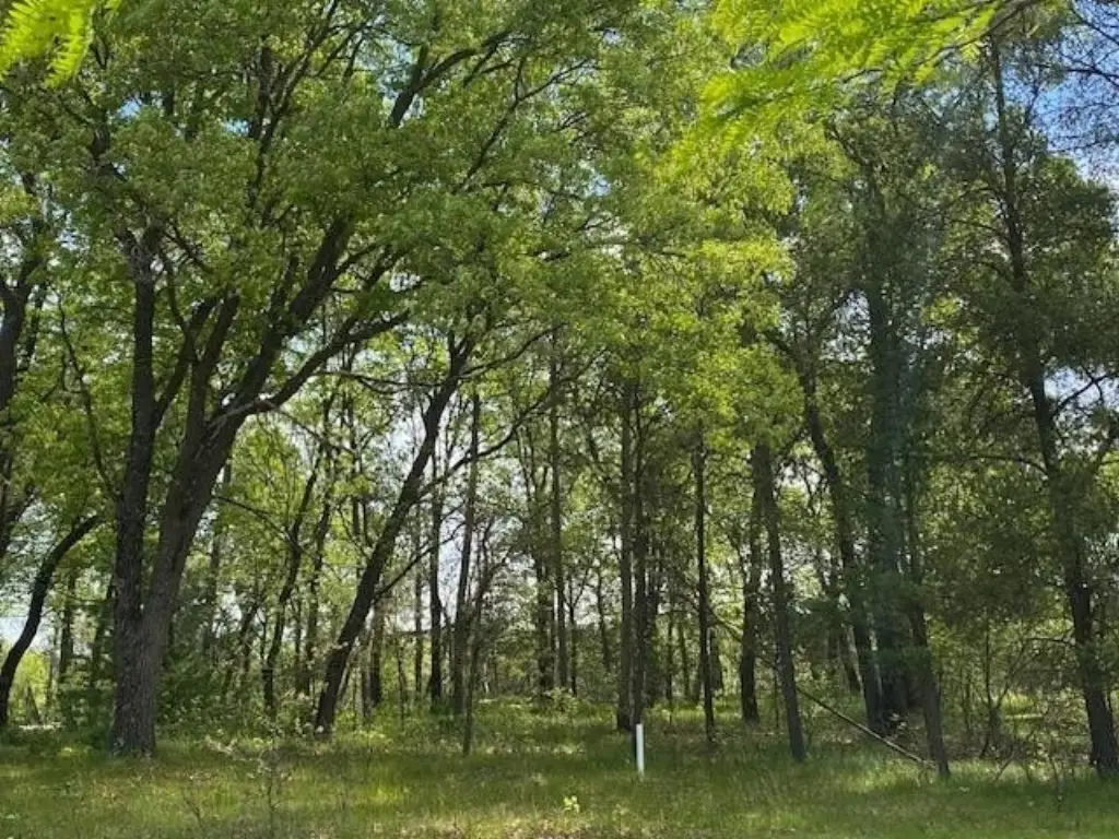 Picture 5