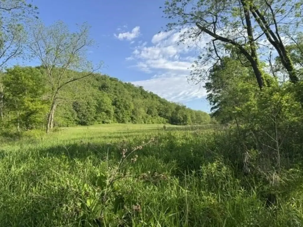 Picture 8