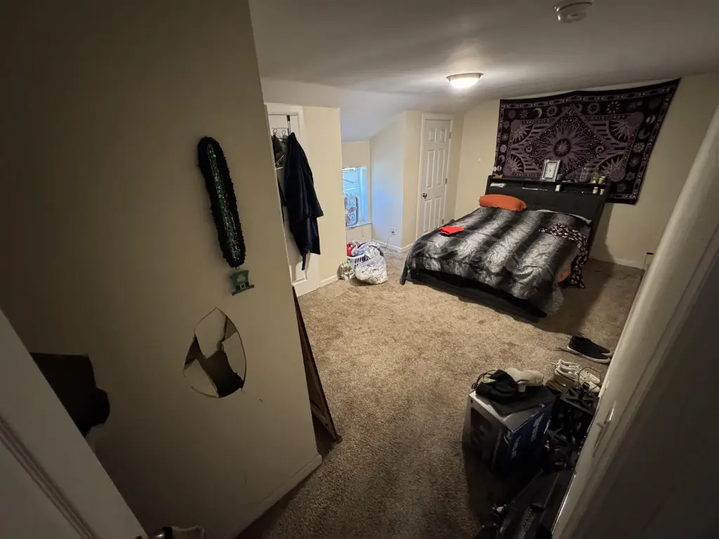 Picture 8