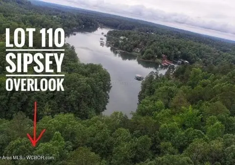 Sipsey Overlook Acreage For Sale