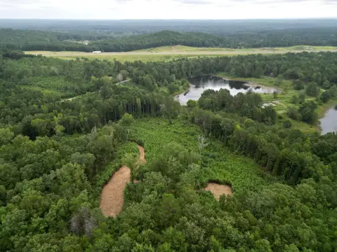 Land For Sale - Eldridge, AL