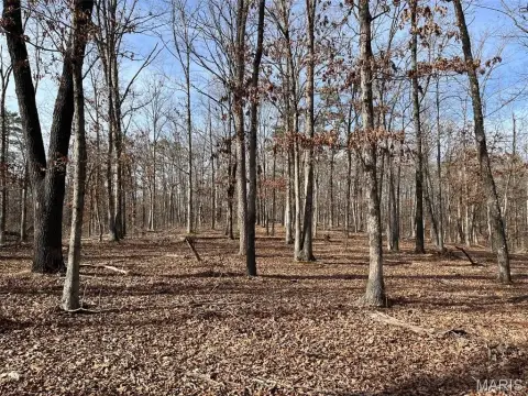 Piedmont MO Wooded Acreage