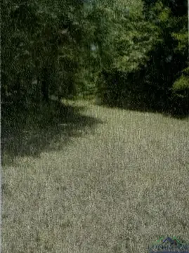 Land Near Lake O' Pines