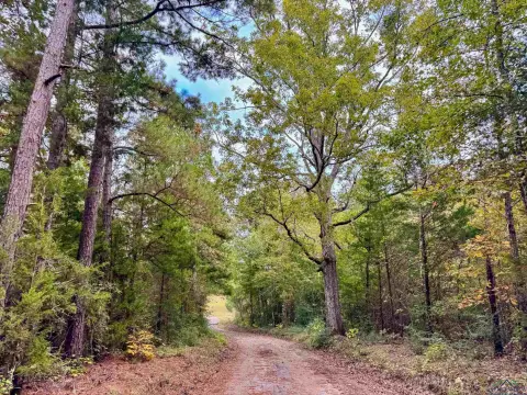 Secluded Acreage with Hunting Potential