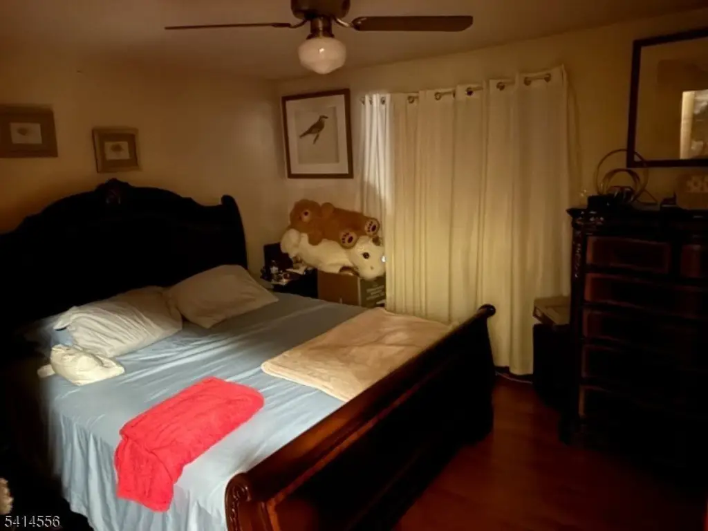 Picture 11