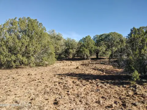 Residential Land in Show Low, AZ