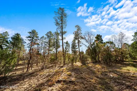 Torreon Golf Community Land