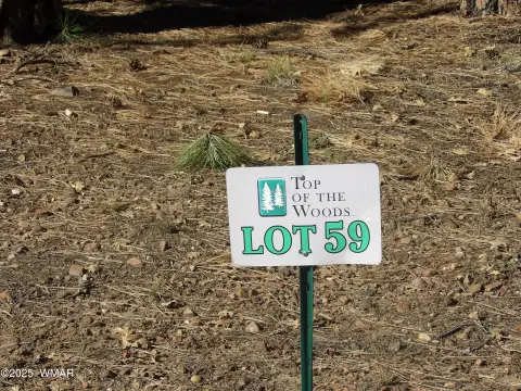 Treed Land in Pinetop, AZ