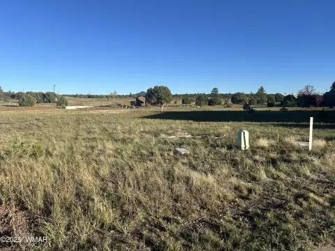 Land in Show Low Bluff