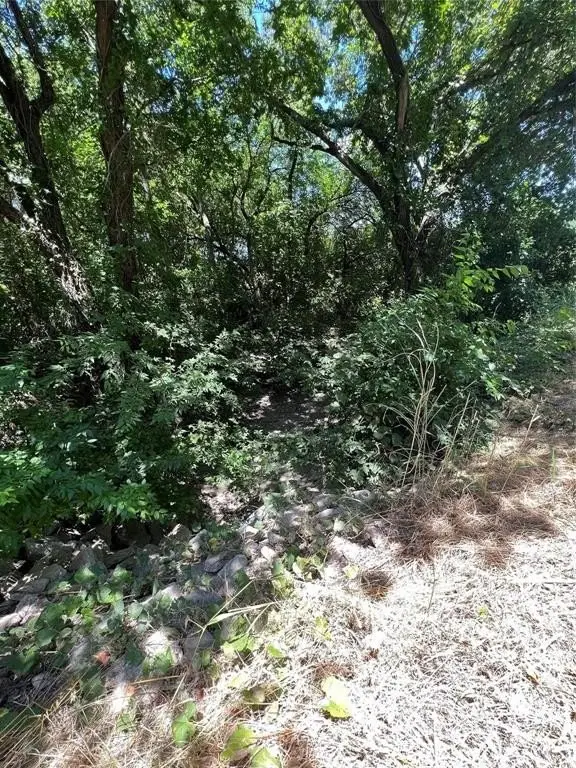 Picture 9