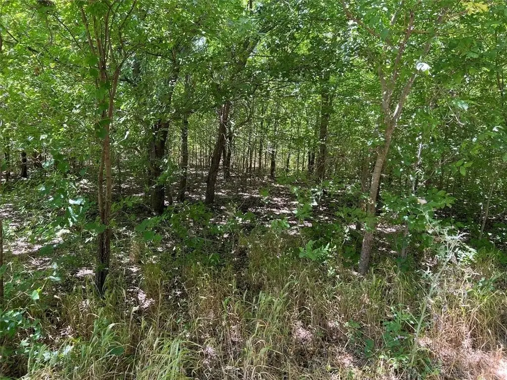 Picture 4