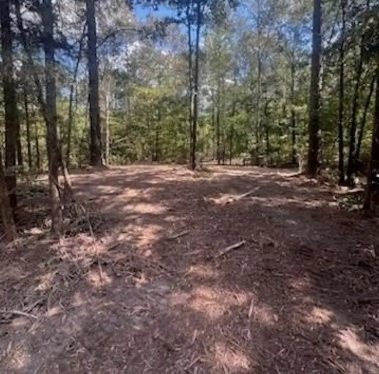 Picture 3