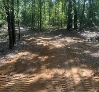 Unimproved Land in Gilmer, TX