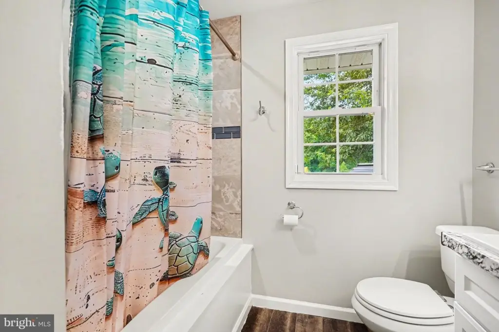 Picture 28