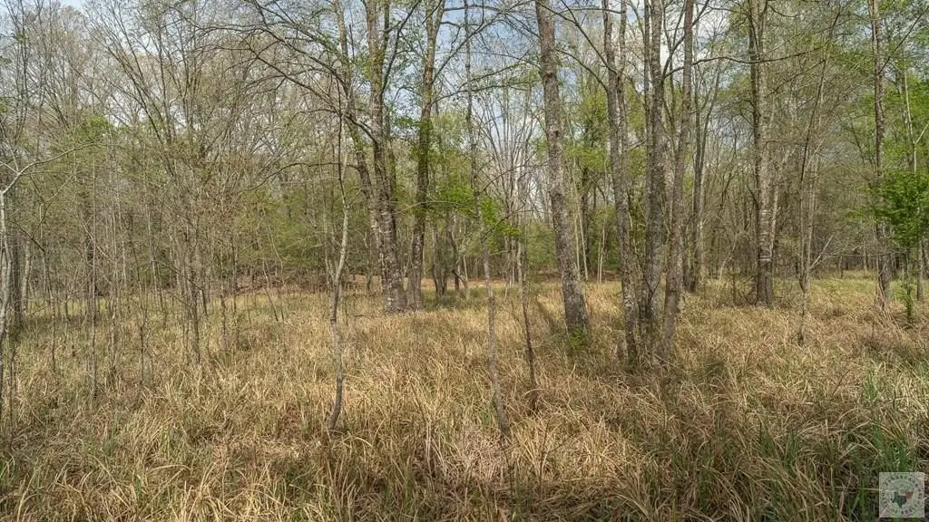 Picture 25