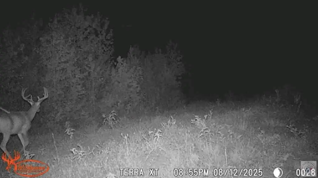 Picture 3