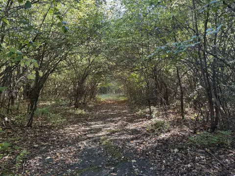 Residential Land in Jackson, MI