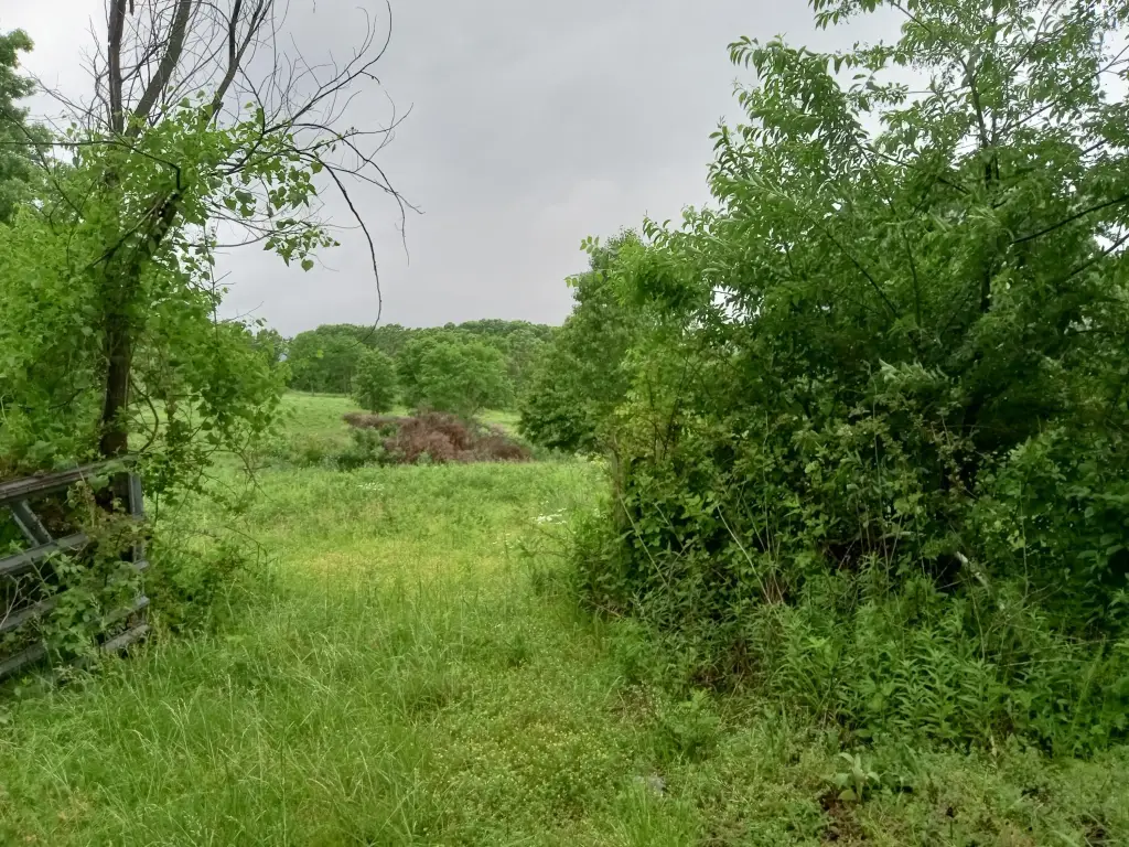 Picture 17