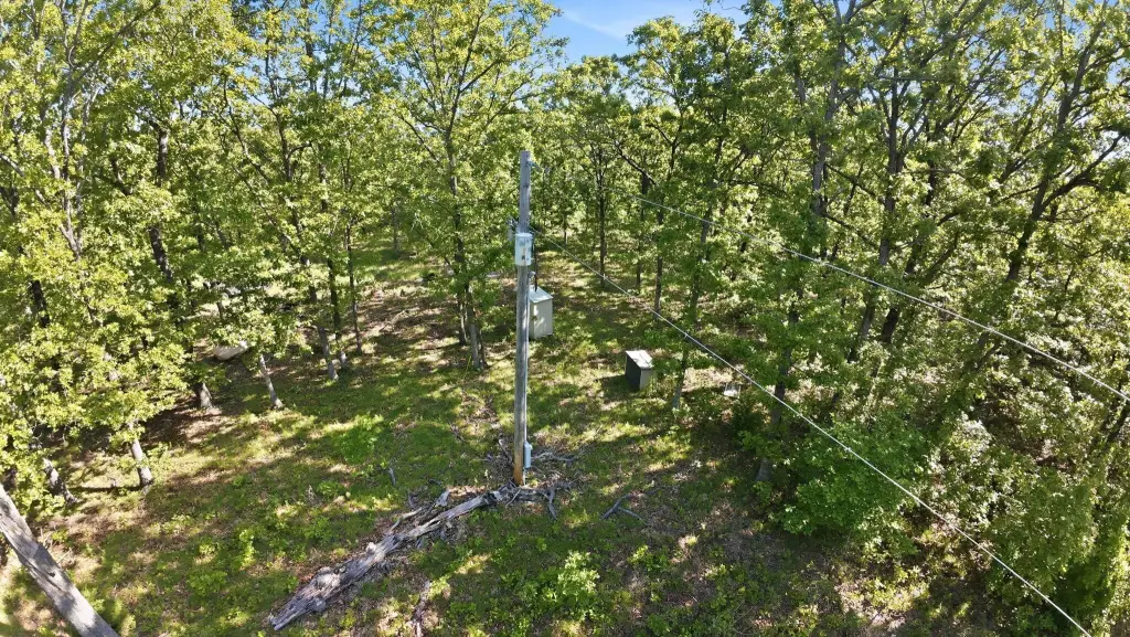Picture 31