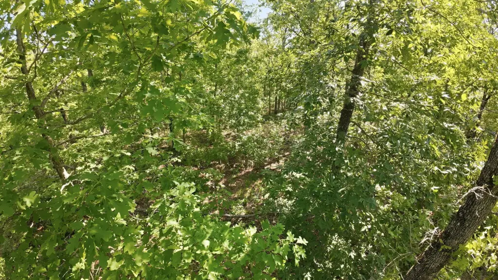 Picture 30