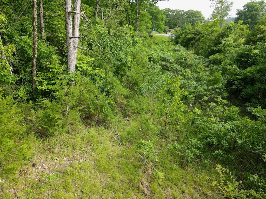 Picture 9