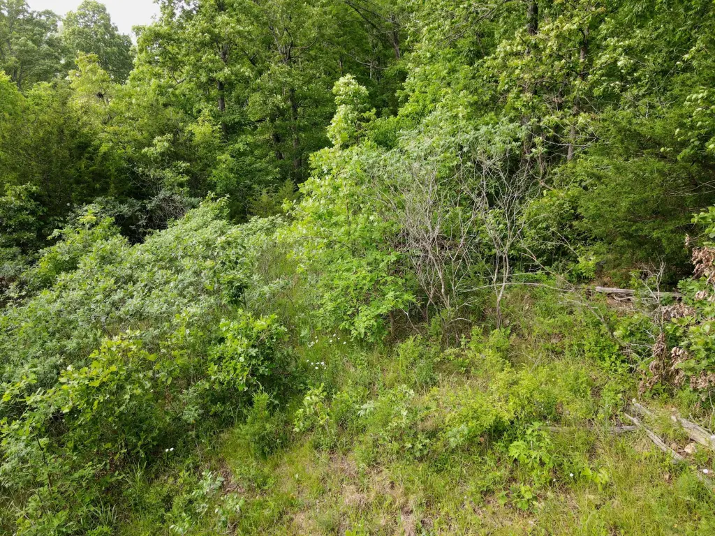 Picture 10