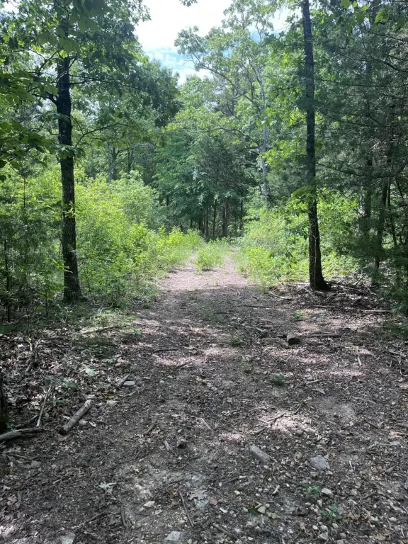 Picture 6