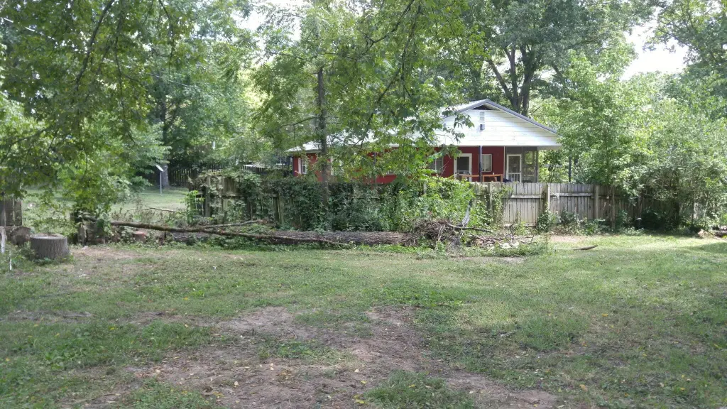 Picture 3