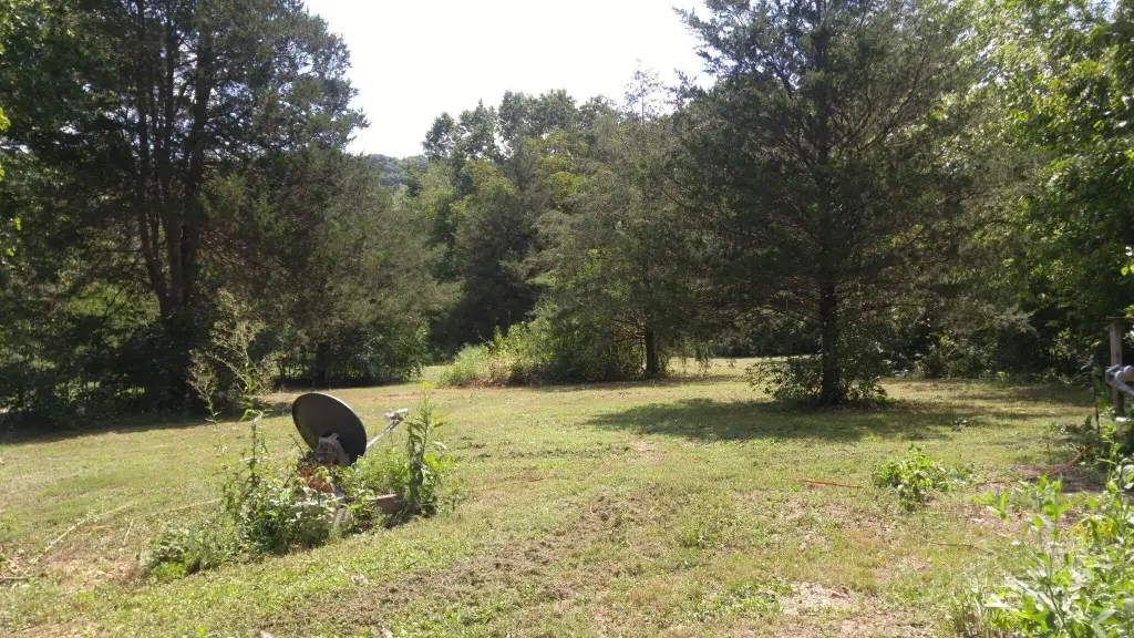 Picture 5