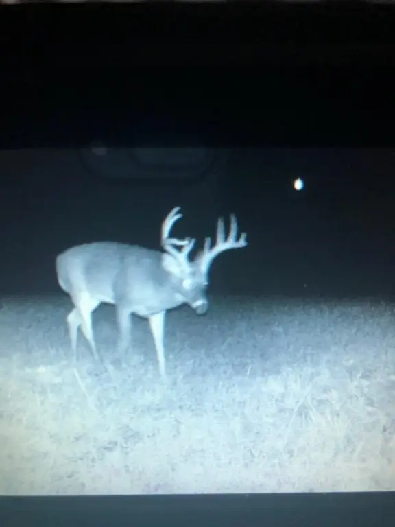 Picture 6