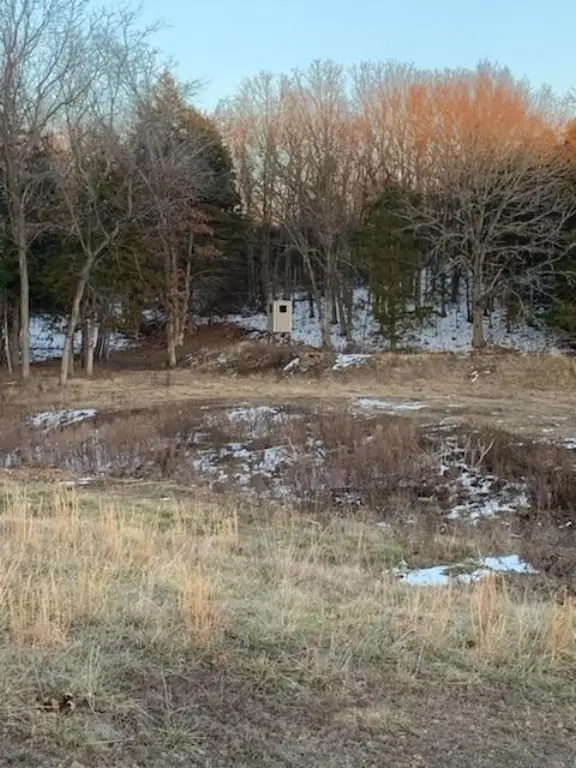 Picture 16