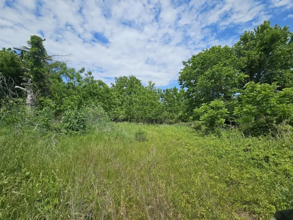Picture 5