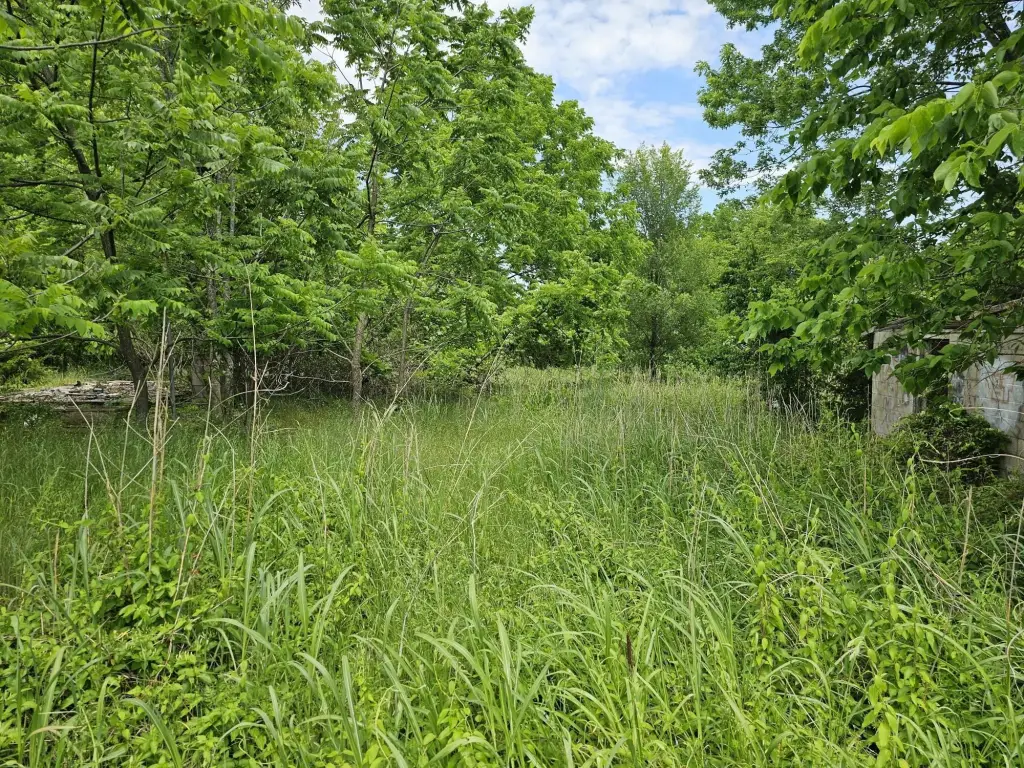 Picture 4