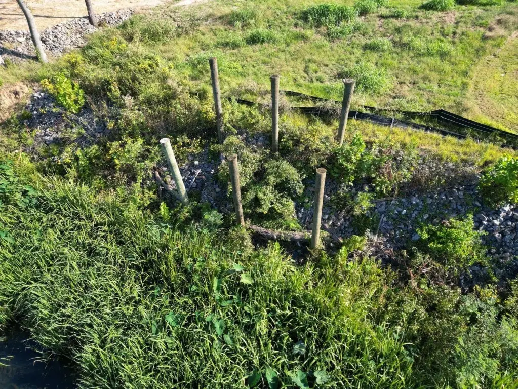 Picture 6