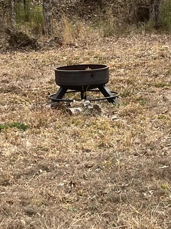 Picture 5